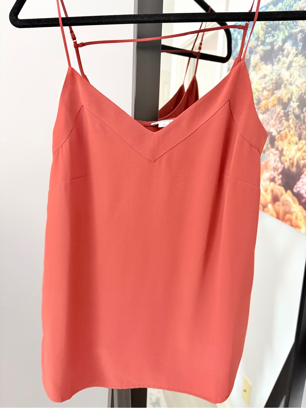 Cuyana Rust Orange V-Neck Blouse